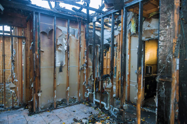 Professional Smoke Damage Removal technician working in Lansing, IL